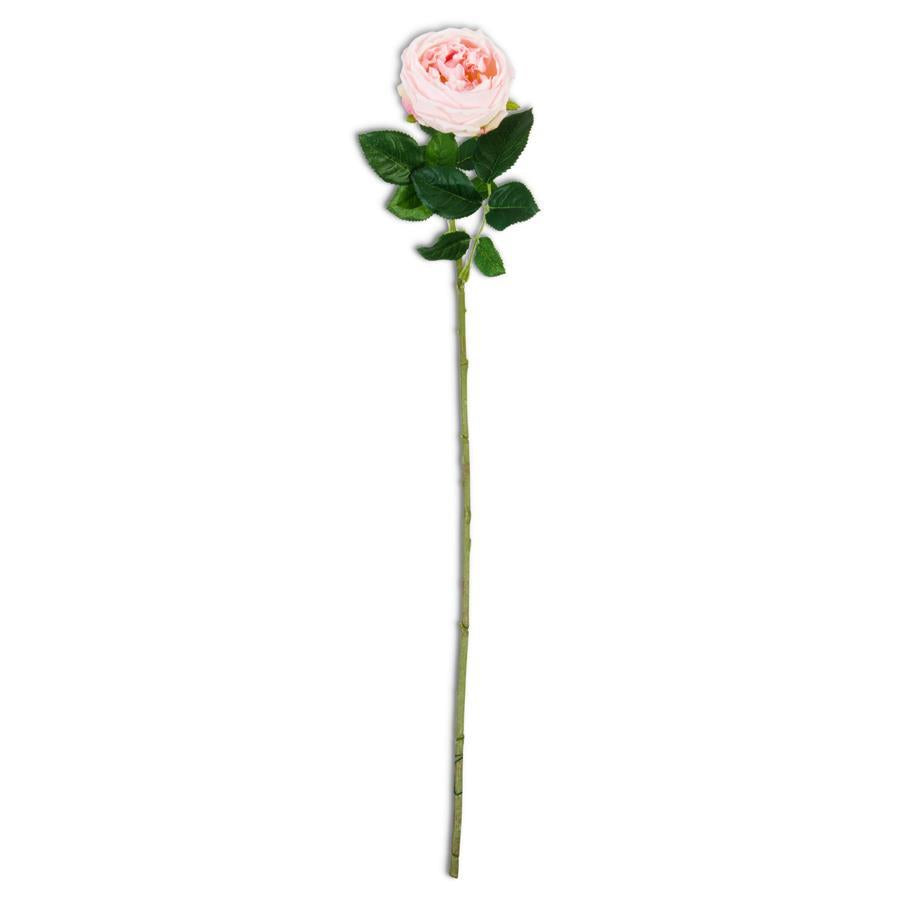 Real Touch Austin Rose Stem - Pink - 24"