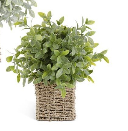 Herbs in Square Woven Basket - 13" (3 Styles)