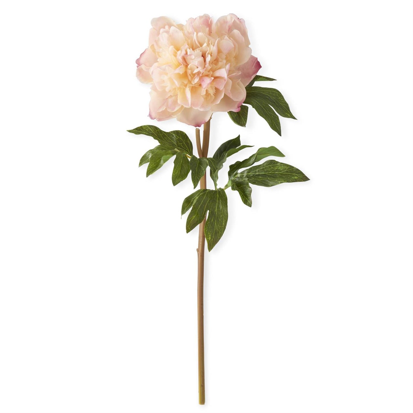 Real Touch Peony Stem - Coral Charm - 21.5"