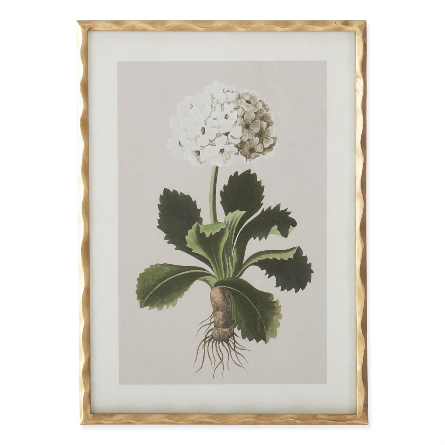 Gold Ornate Wood Framed White Geranium Prints (4 Styles)