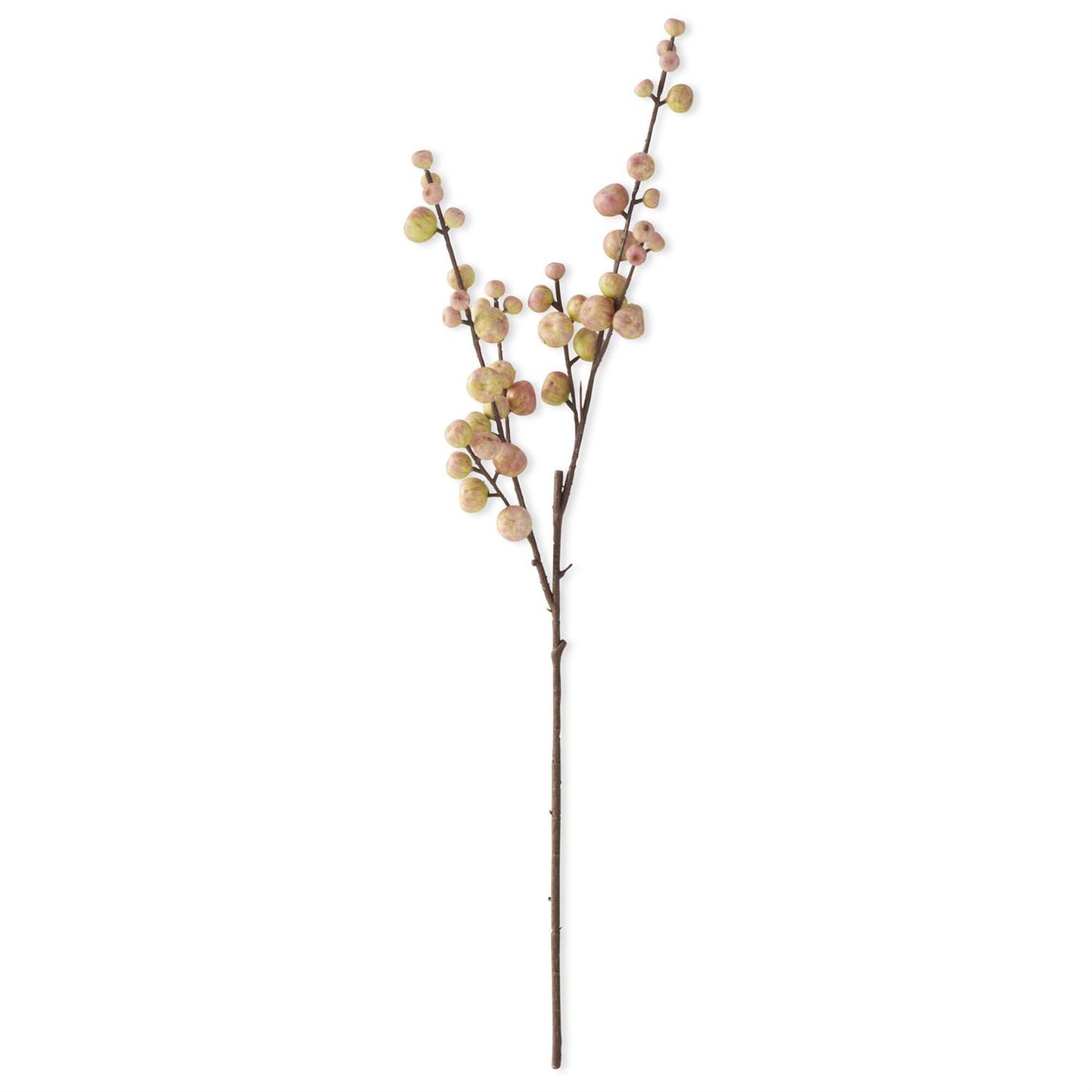 Crabapple Stem - 28"
