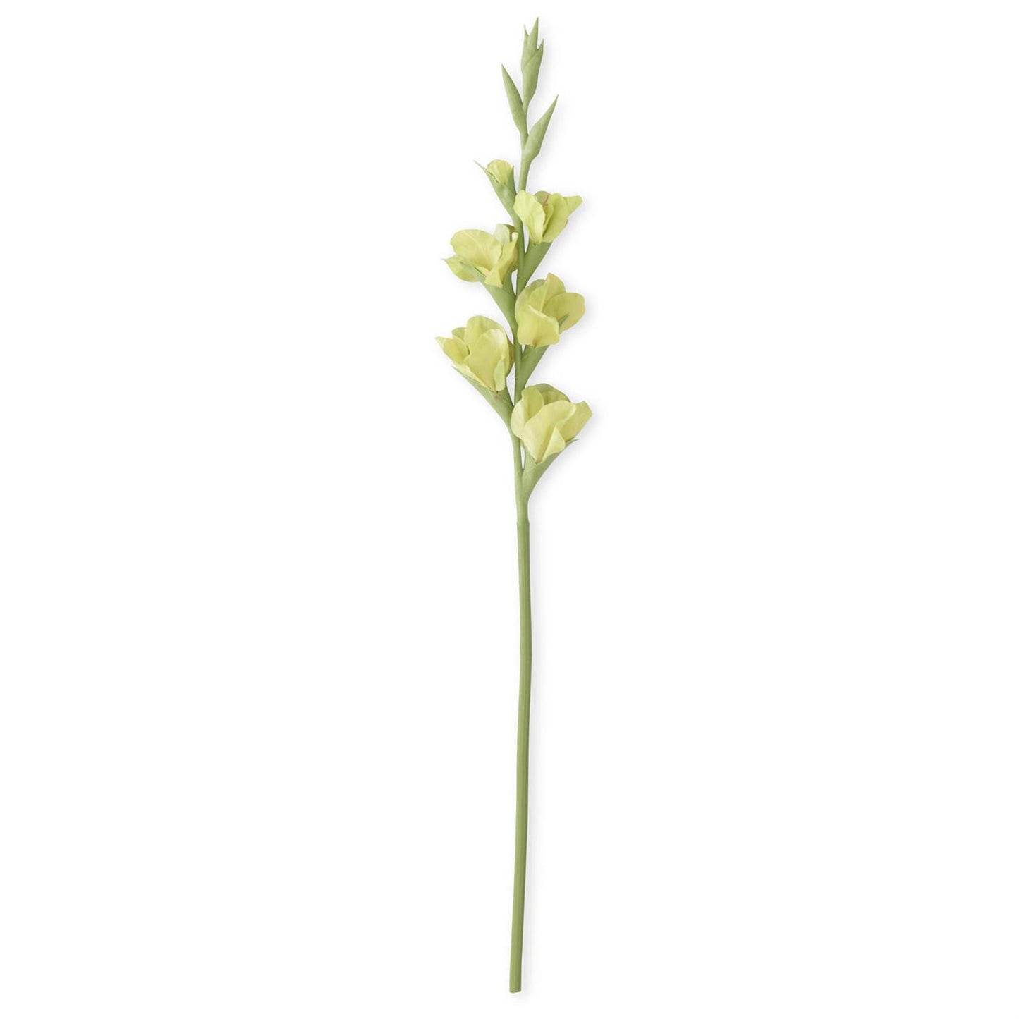 Green Real Touch Gladiolus - 34"