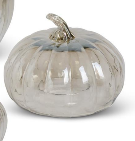 Transparent Glass Pumpkin Cloches (3 Sizes)