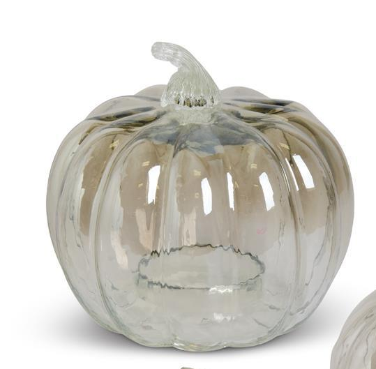 Transparent Glass Pumpkin Cloches (3 Sizes)