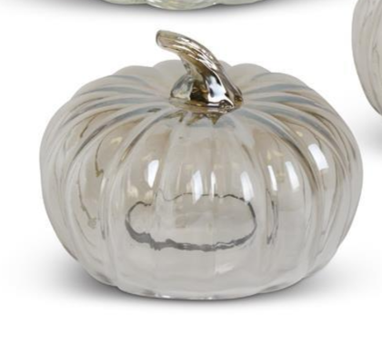 Transparent Glass Pumpkin Cloches (3 Sizes)