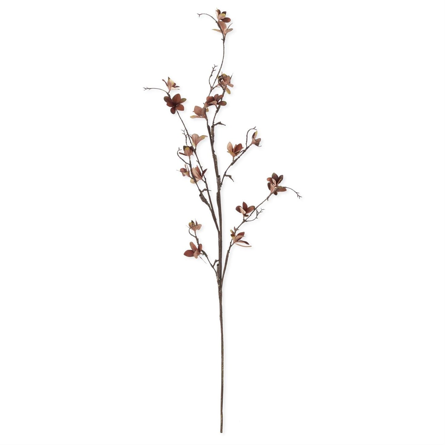 Burgundy Brown Magnolia Blossom Spray