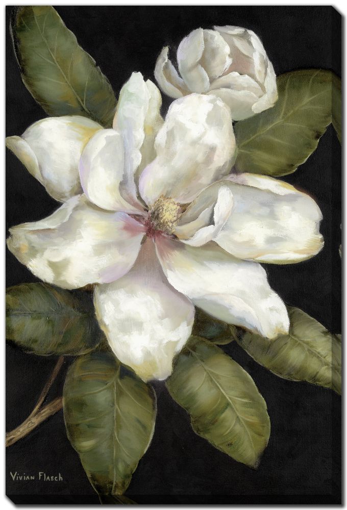Elegant Magnolia I
