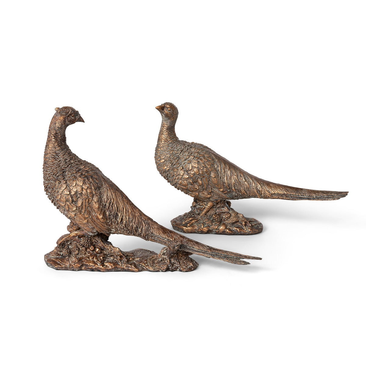 Bronze Pheasant Pair