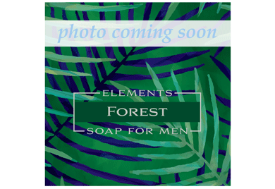 Elements Soap For Men - 8oz