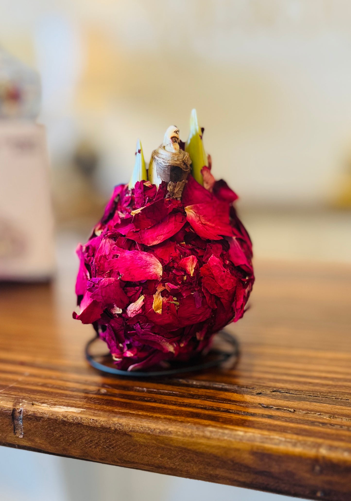 Waxed Amaryllis Bulbs