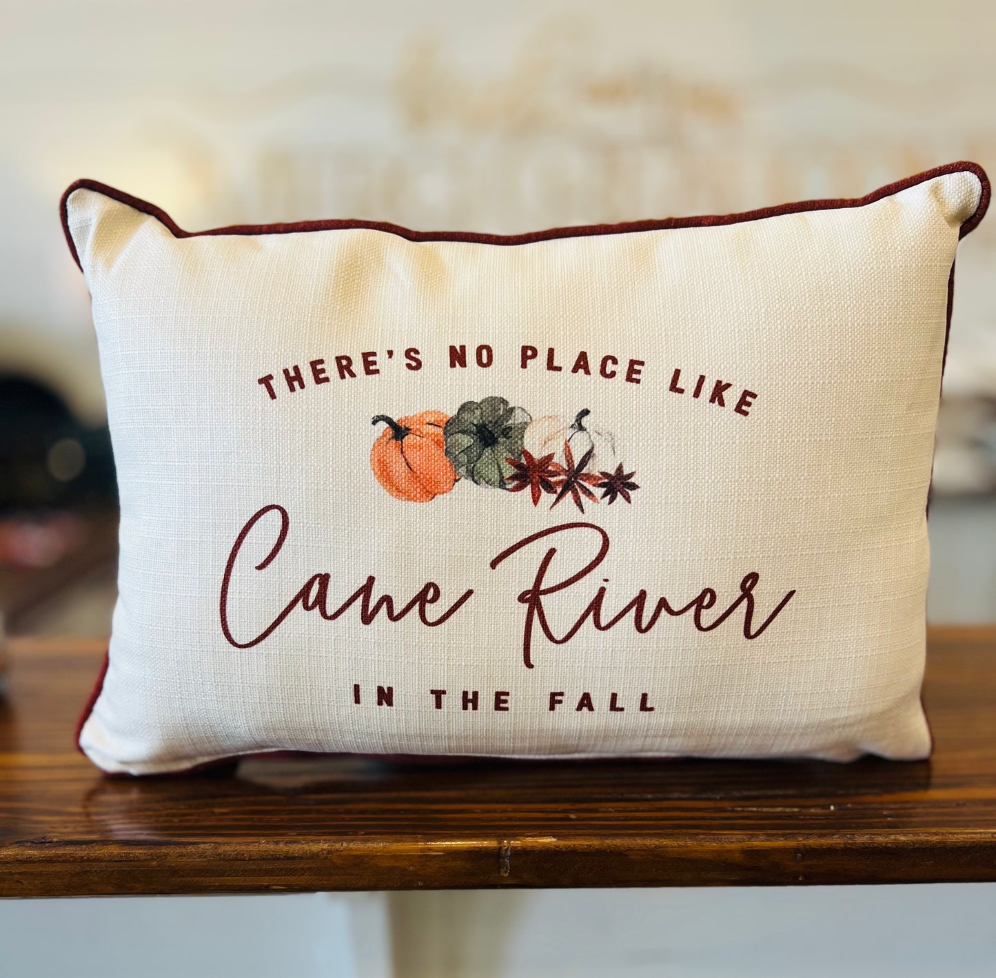 City In The Fall Pillow + Accent Piping Paprika (2 Styles)