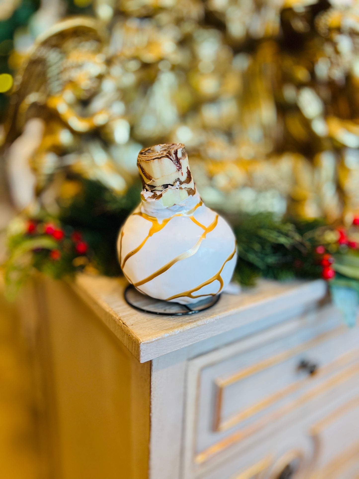 Waxed Amaryllis Bulbs