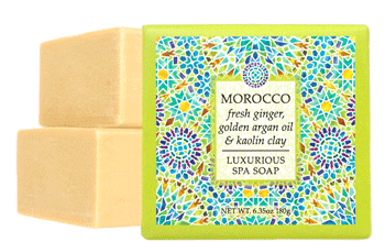 Destination Collection Mini Soap Bar