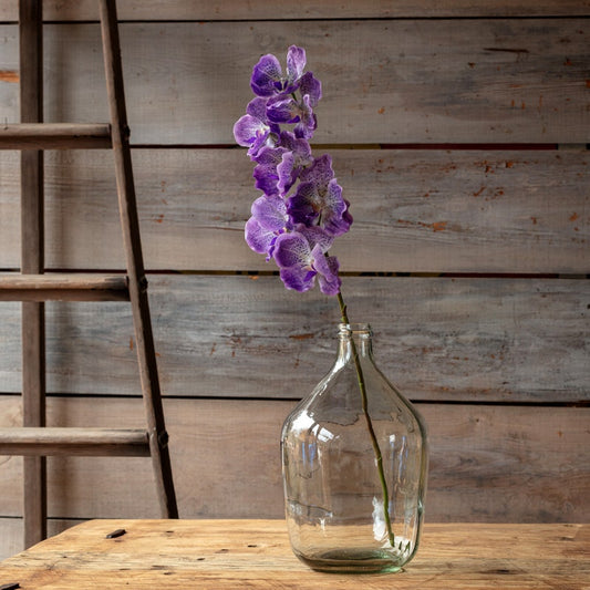 Purple Vanda Orchid