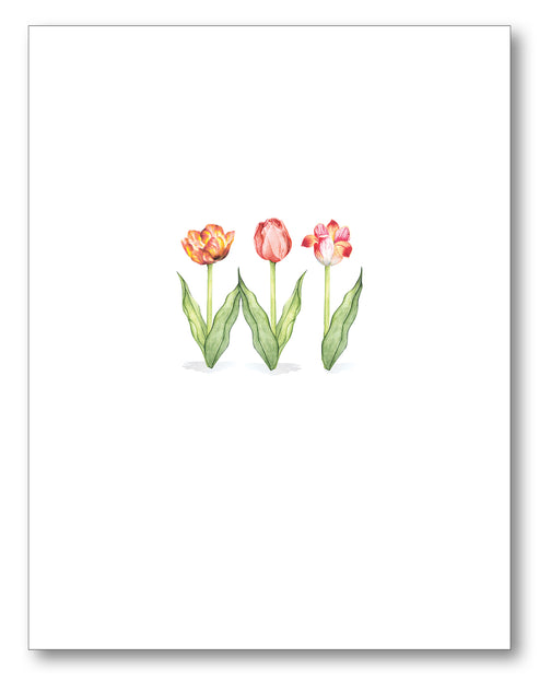Stationery Set - Flowers Boxed Note Cards