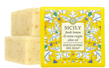 Destination Collection Mini Soap Bar