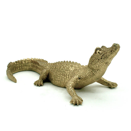 Gold Gator 14"