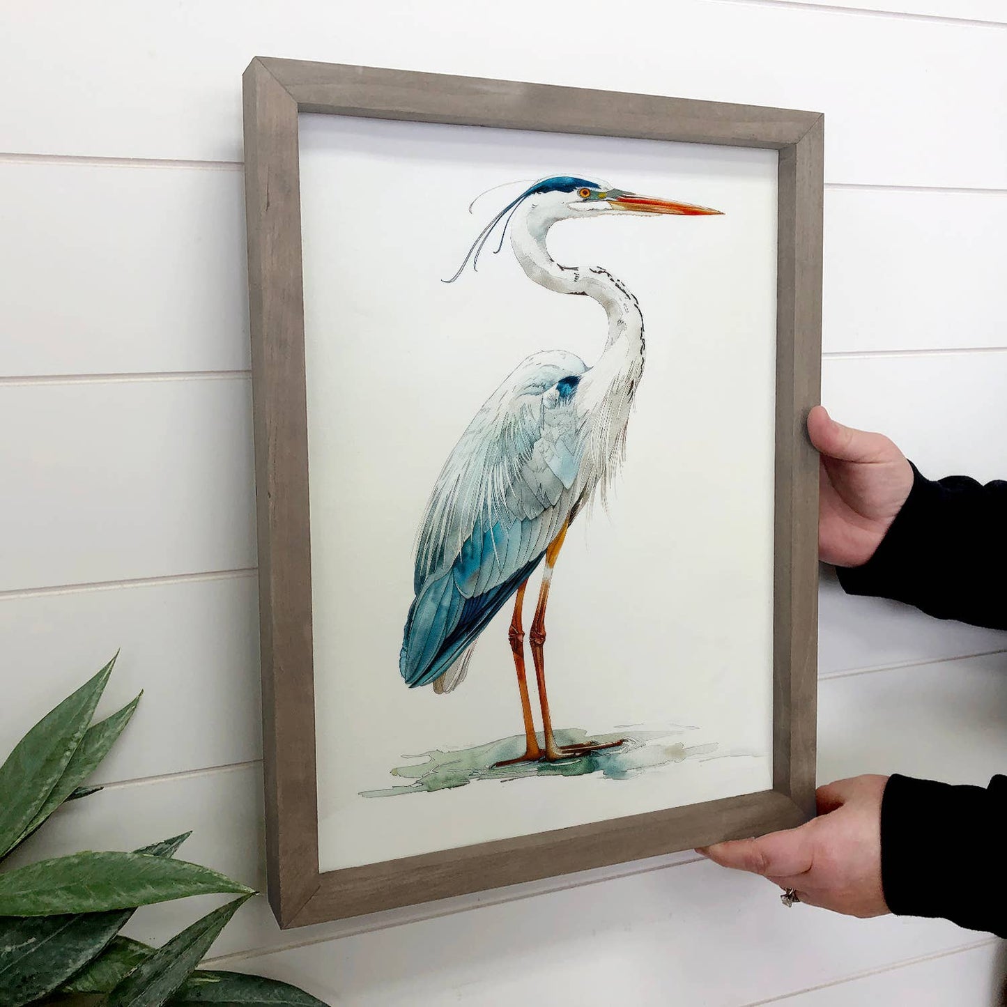 Blue Crane - Bird Canvas Wall Art - Wood Framed Wall Art: 24x36" Extra Large Canvas Art with Thick Wood Frame