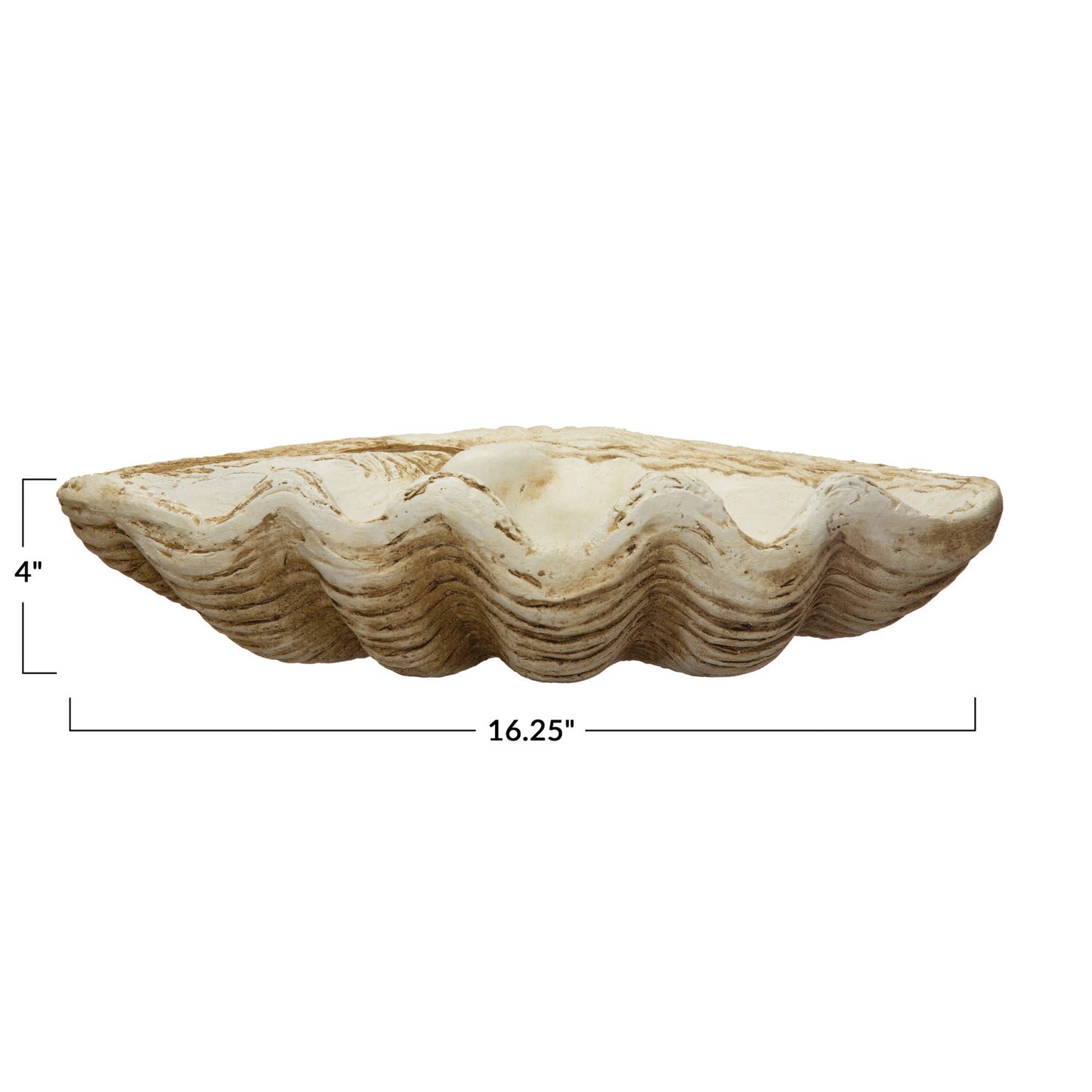 Magnesia Clamshell Decor - Natural Finish