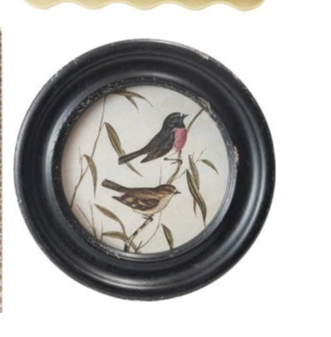 Wood Framed Glass Wall Decor w/Landscapes, Botanicals & Insect Prints (9 Styles)