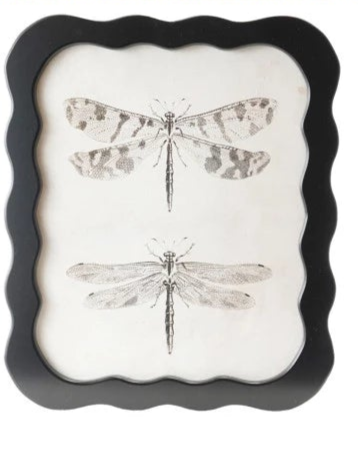 Wood Framed Glass Wall Decor w/Landscapes, Botanicals & Insect Prints (9 Styles)