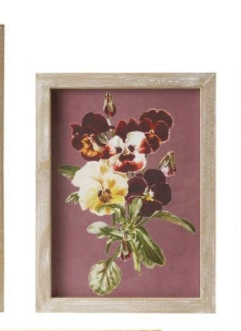 Wood Framed Glass Wall Decor w/Landscapes, Botanicals & Insect Prints (9 Styles)