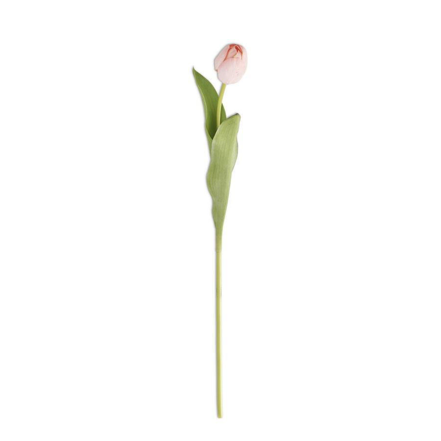 Pink Silk w/Real Touch Single Tulip Stem