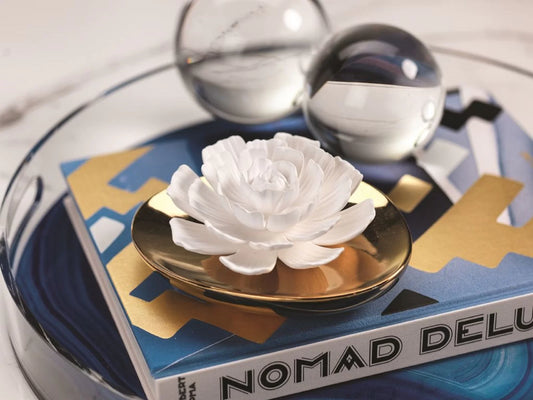 Dream Porcelain Flower Diffuser