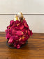 Waxed Amaryllis Bulbs