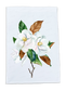 Flower, Dish Towel, Magnolia set: Magnolia 1