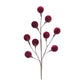 Burgundy Pod Spray