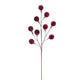Burgundy Pod Spray