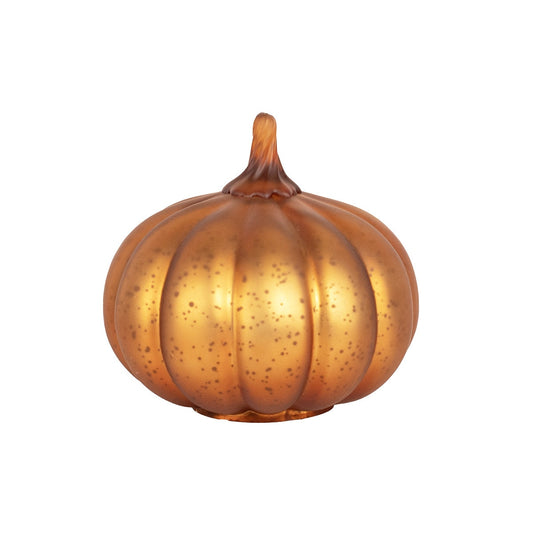 Dylan Pumpkin