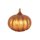Dylan Pumpkin