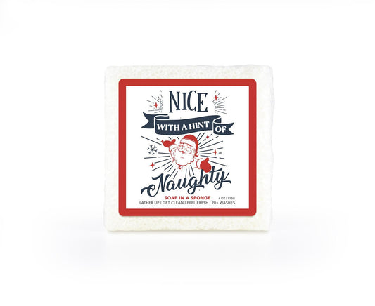 Nice With A Hint Of Naughty Soap in a Sponge