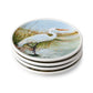 Coastal Birds Canape Plates, 6" 4 asst.
