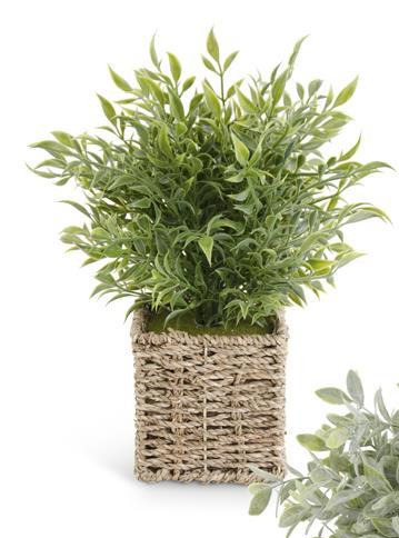 Herbs in Square Woven Basket - 13" (3 Styles)