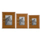 Tan Photo Frames w/Gold Horse Bit