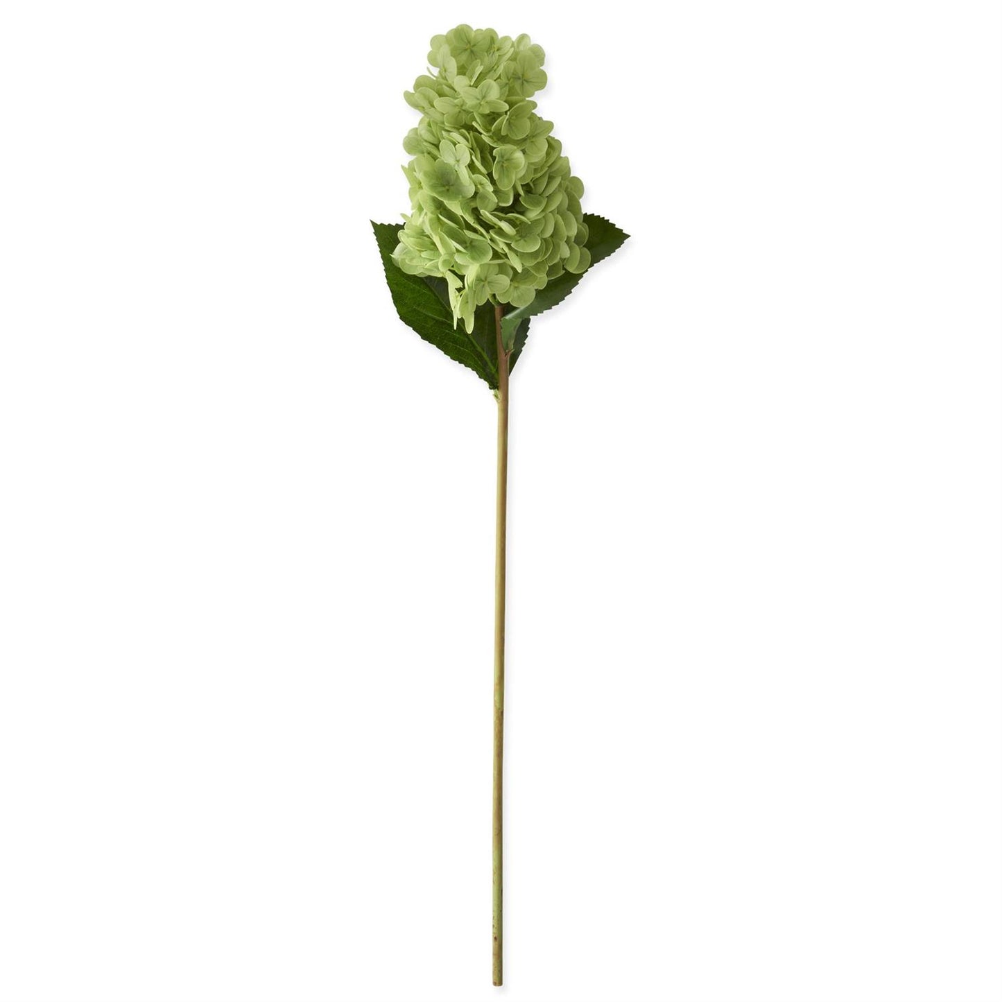 Green Real Touch Cone Hydrangea Stem -28"