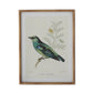 Twisted Gold Framed Bird Prints (4 Styles) 23.5"