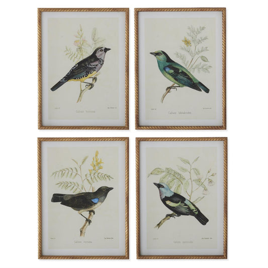 Twisted Gold Framed Bird Prints (4 Styles) 23.5"