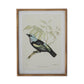 Twisted Gold Framed Bird Prints (4 Styles) 23.5"