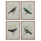 Twisted Gold Framed Bird Prints (4 Styles) 23.5"