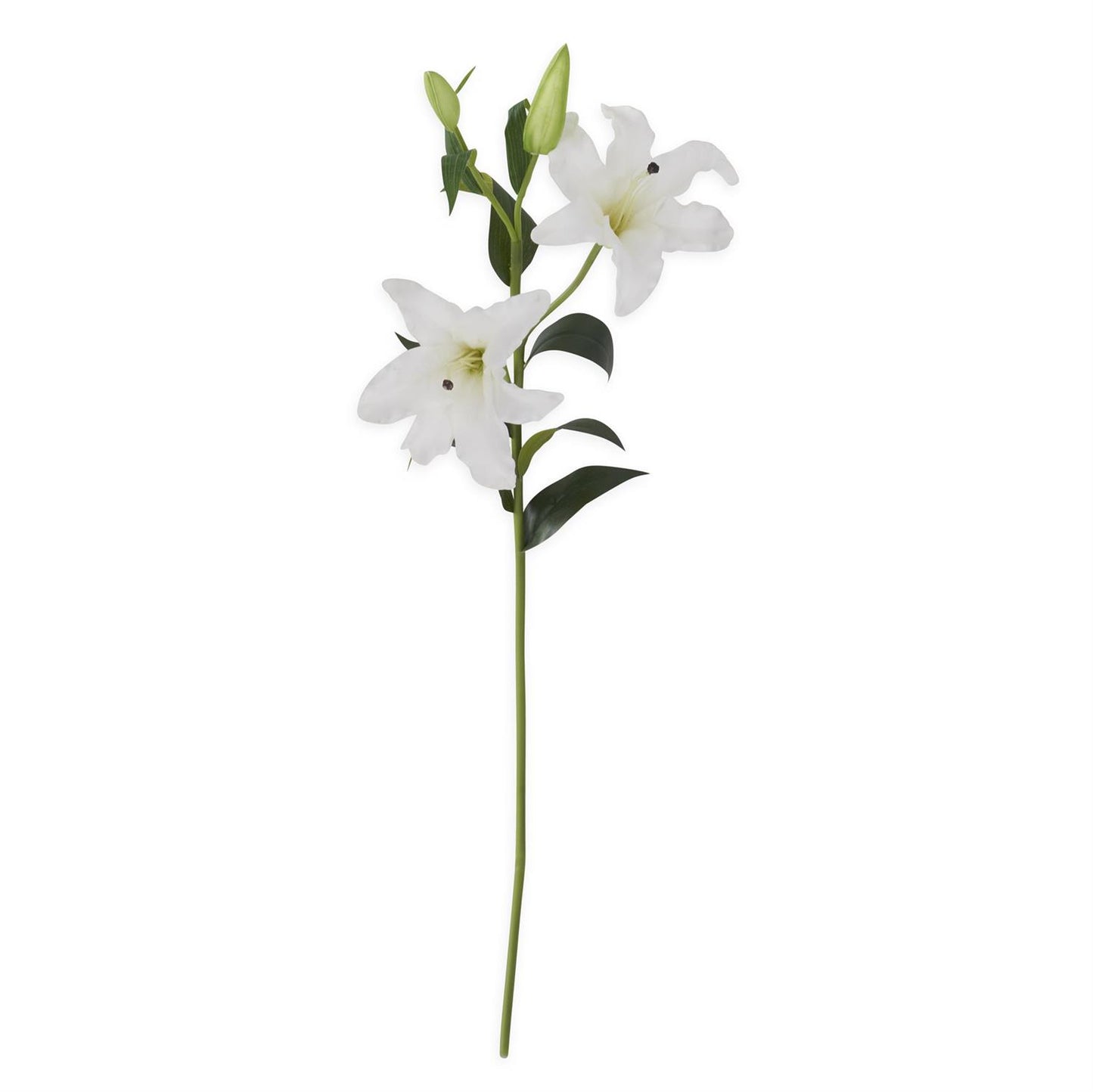 White Real Touch Lily Stem w/2 Blooms & 2 Buds - 35"