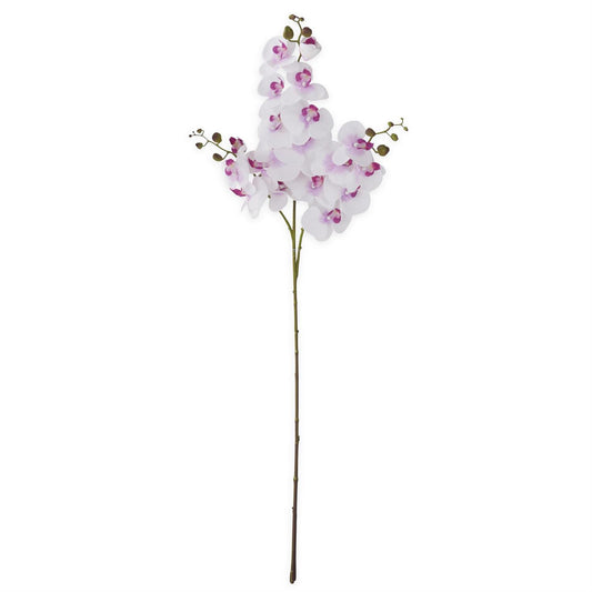 White & Purple Orchid Spray