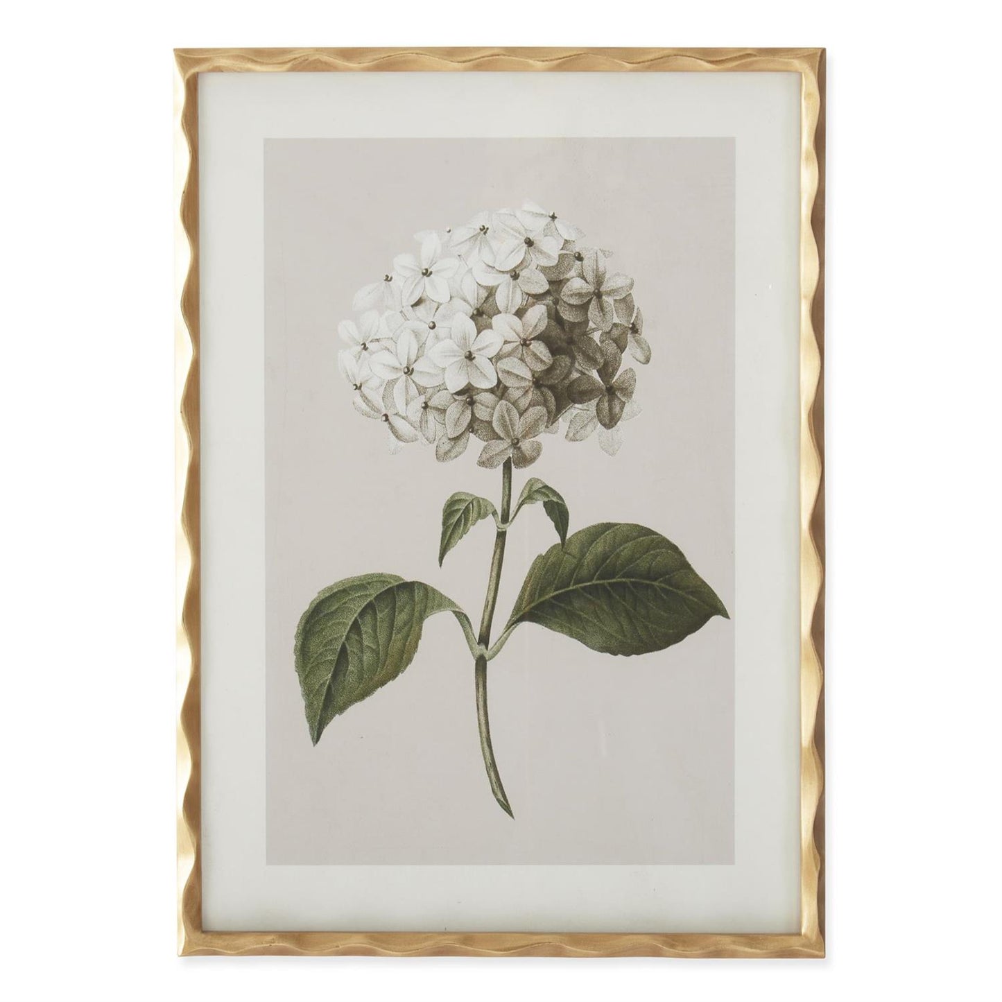 Gold Ornate Wood Framed White Geranium Prints (4 Styles)