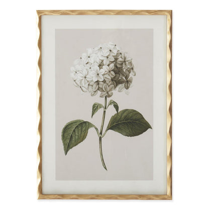 Gold Ornate Wood Framed White Geranium Prints (4 Styles)
