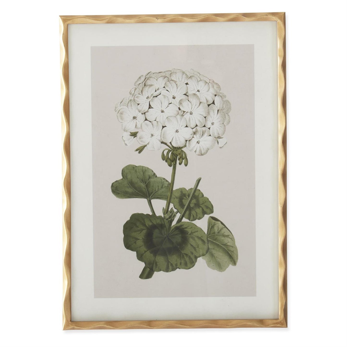 Gold Ornate Wood Framed White Geranium Prints (4 Styles)