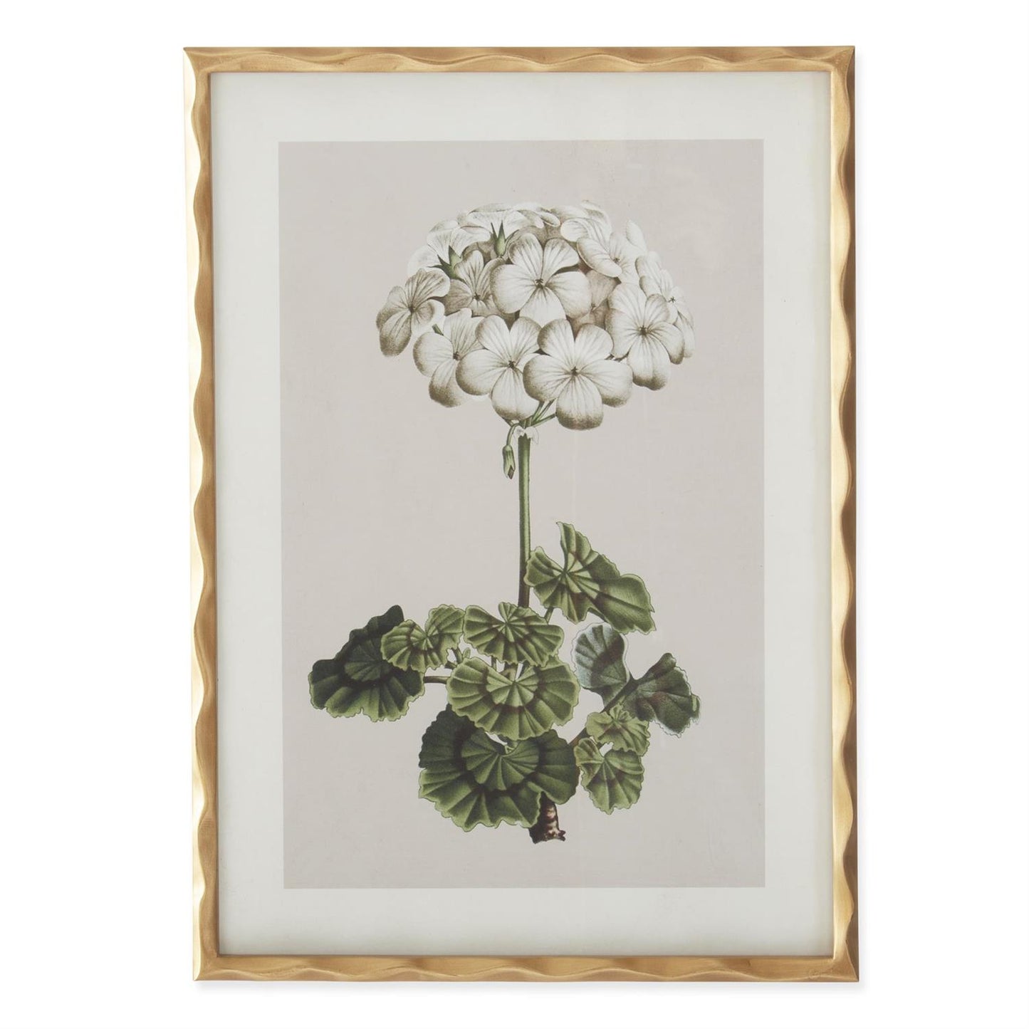 Gold Ornate Wood Framed White Geranium Prints (4 Styles)