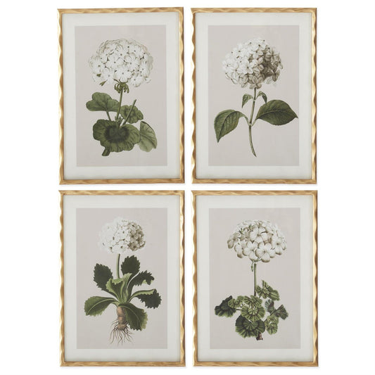 Gold Ornate Wood Framed White Geranium Prints (4 Styles)